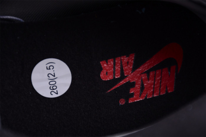 AIR Jordan 1 Retro High Element Gore-Tex Black Infrared DB2889-002