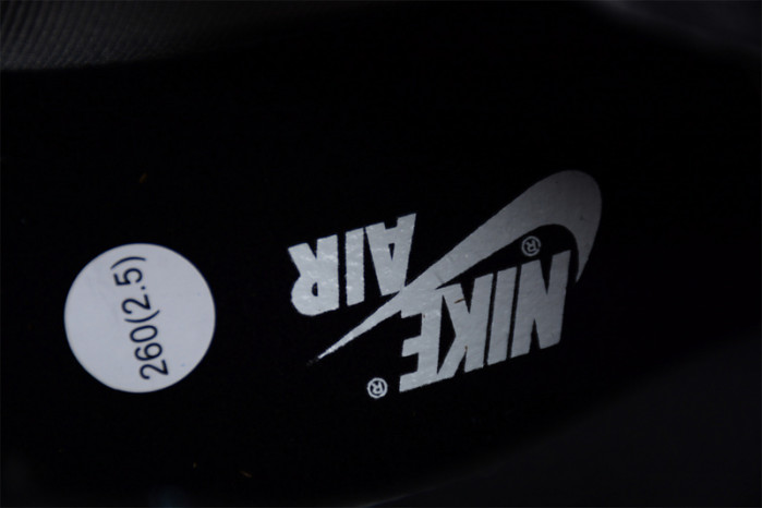 AIR JORDAN 1 HIGH ELEMENT GORE-TEX