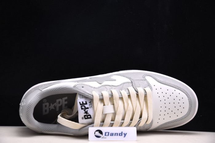 BAPE Shoe