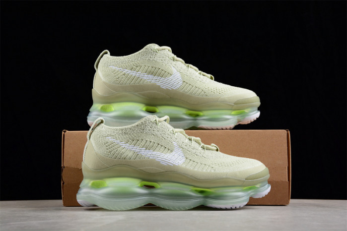 Nike Air Max Scorpion DJ4702-300