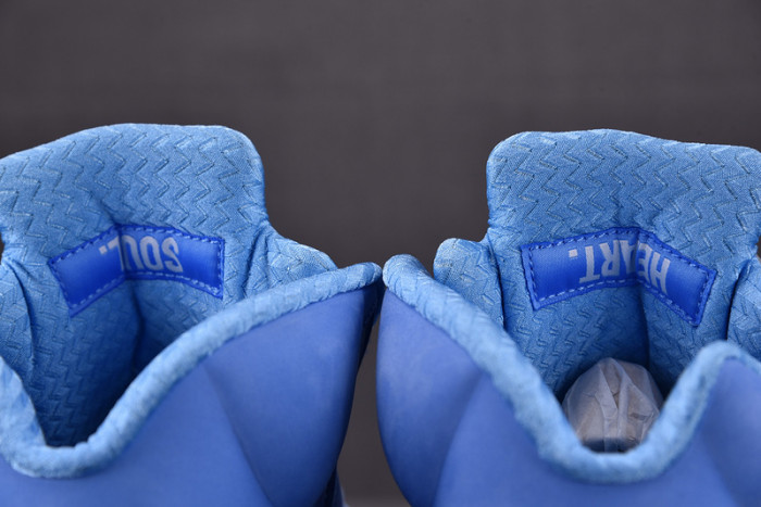 Air Jordan 5 Concord DV1310-401