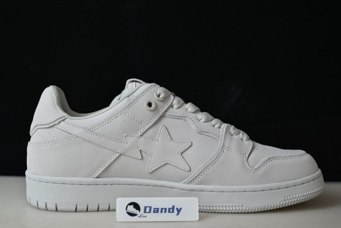 BAPE Shoe