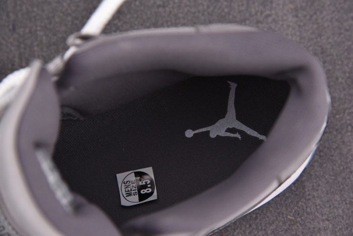 AIR Jordan 11 Retro Cool Grey (2021) CT8012-005