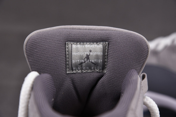 AIR Jordan 11 Retro Cool Grey (2021) CT8012-005